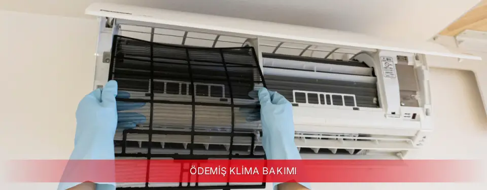 Ödemiş İlçemi Awox Klima Bakımı